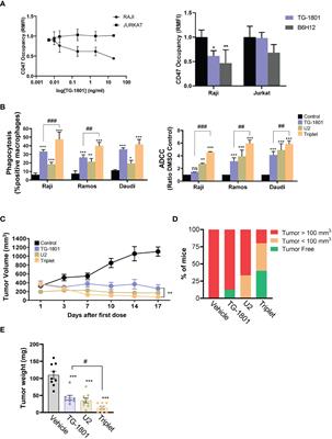 G protein-coupled receptor 183 mediates the sensitization of Burkitt lymphoma tumors to CD47 immune checkpoint blockade by anti-CD20/PI3Kδi dual therapy